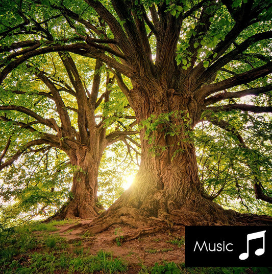Countryside - Nature Sounds with music